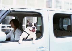 運転手を必要としている人に便利な企業